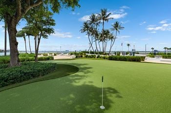 Putting green with palm trees and waterfront views